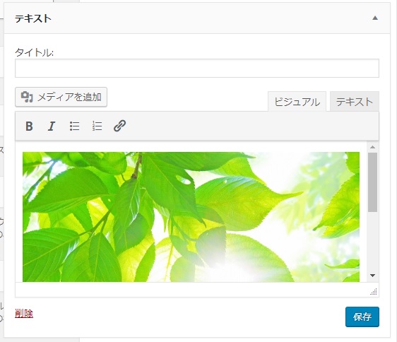 テキストウィジェット