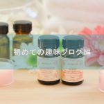 初めての趣味ブログ編
